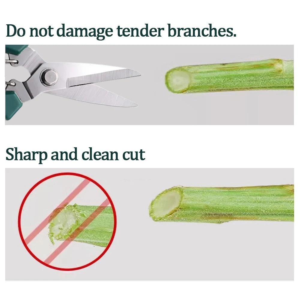 Straight Head Pruning Shears Non-slip Handle Stainless Steel Handle Garden Scissors for Bonsai Household Branch Nursery Trimming